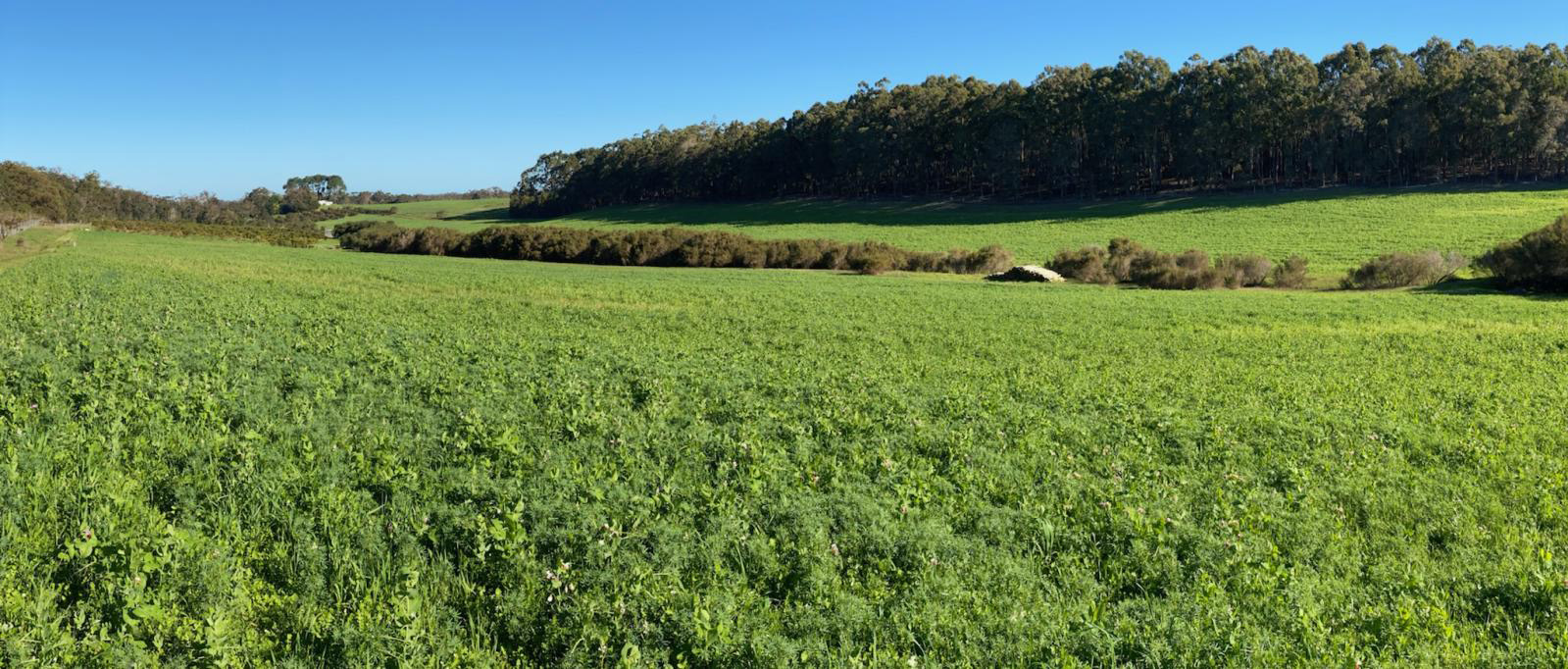 Landscape Management