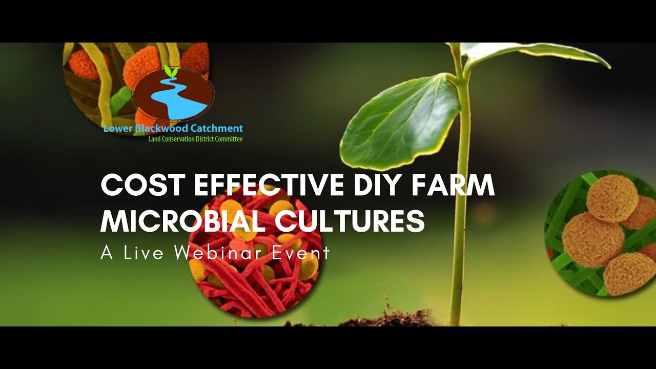 Video Thumbnail: COST EFFECTIVE DIY FARM MICROBIAL CULTURES